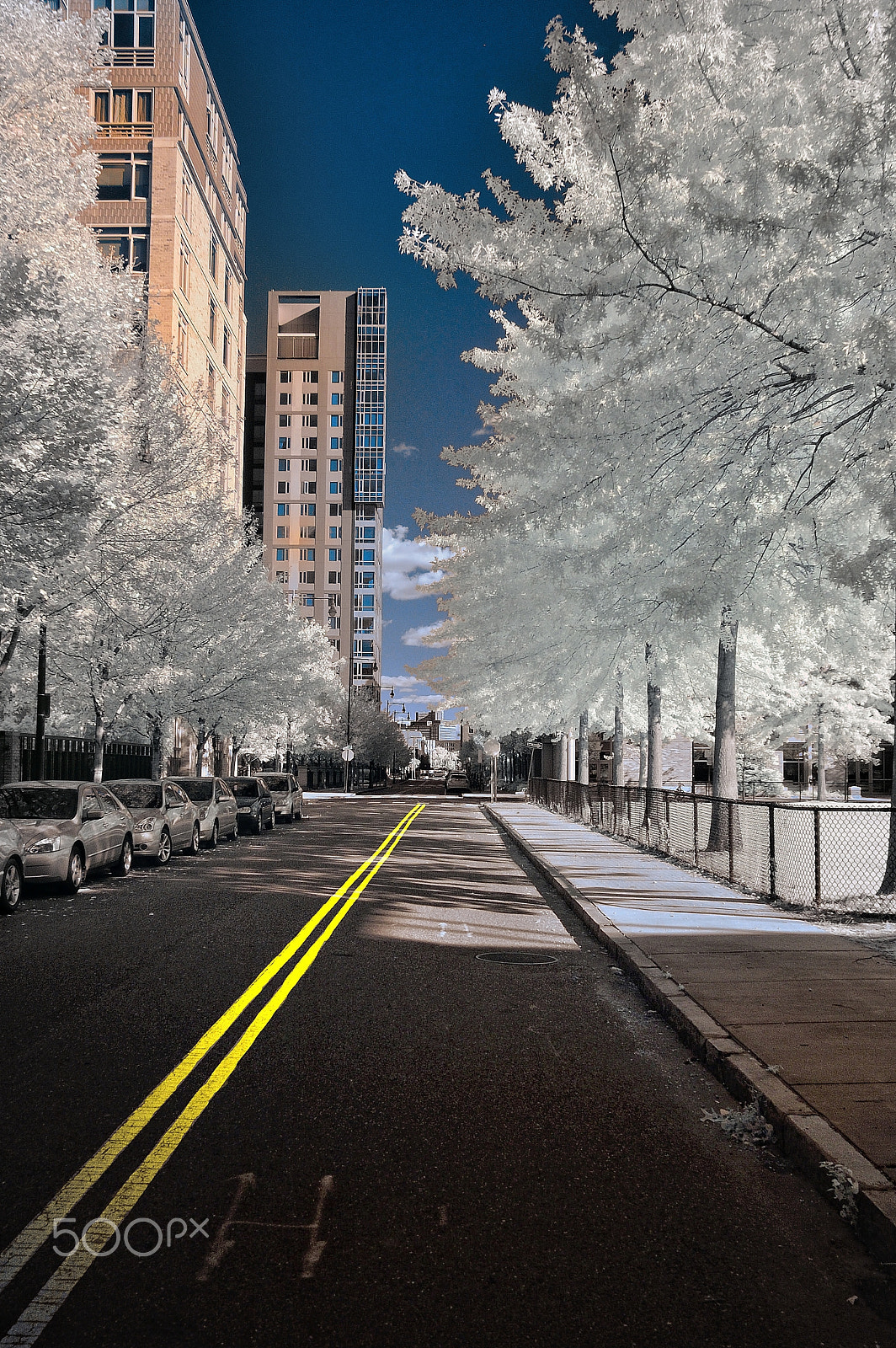 Nikon D70s sample photo. Two way street, ir photography
