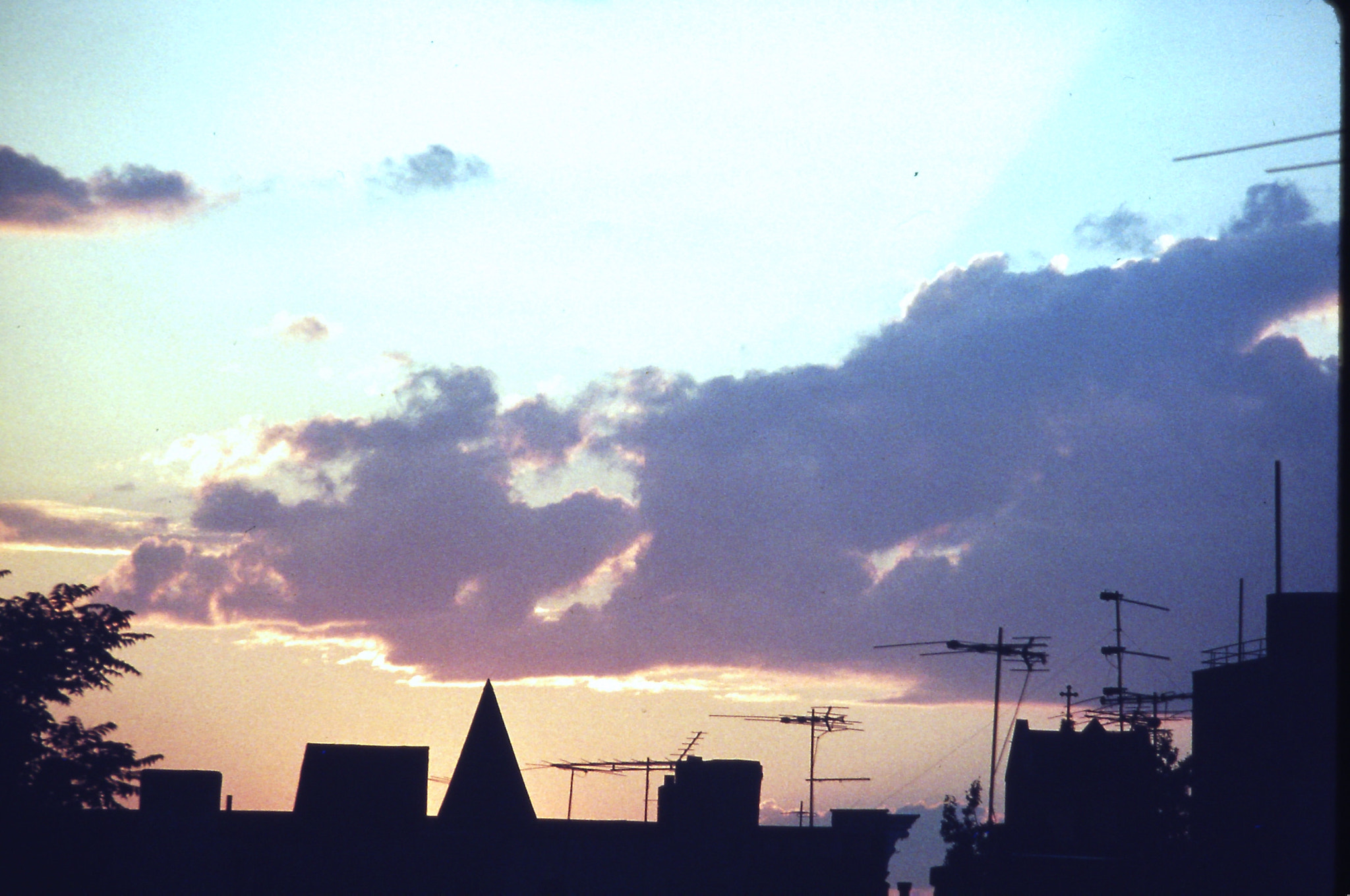 Syntek USB Camera sample photo. Brooklyn rootop at sunset photography