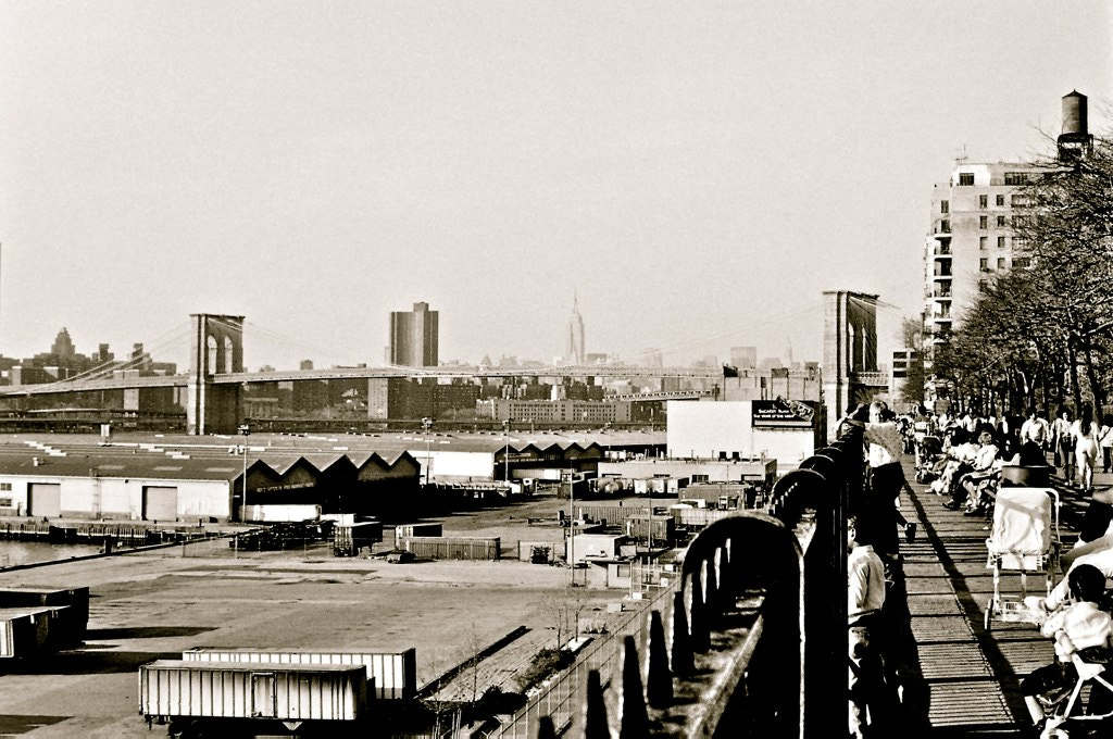 Syntek USB Camera sample photo. Brooklyn heights promenade photography