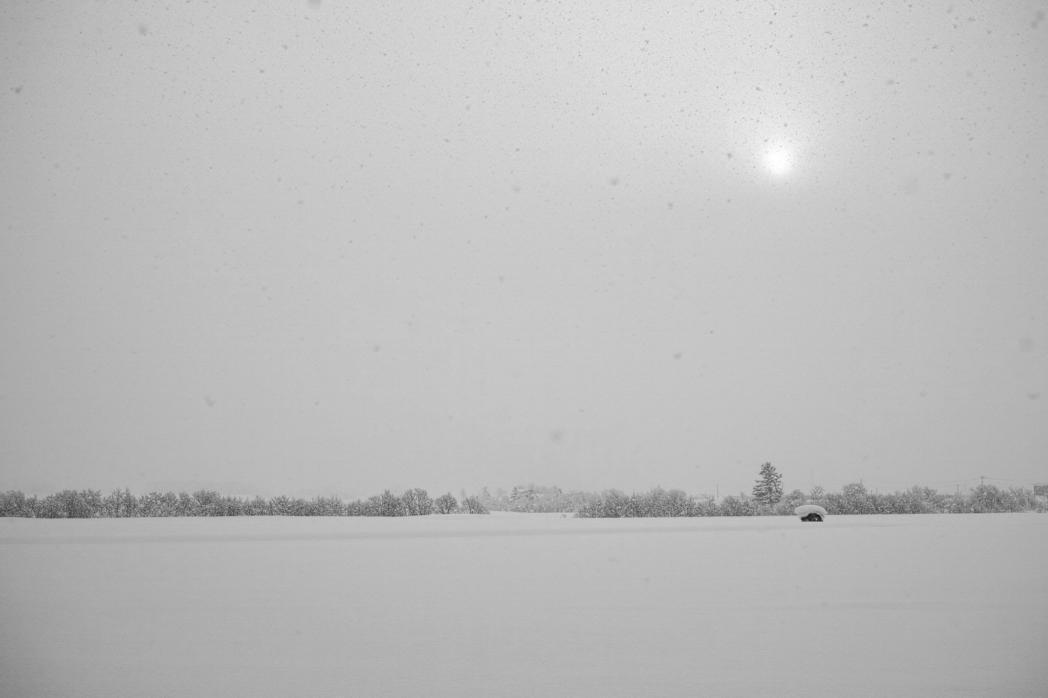 Sigma DP2 Merrill + Sigma 30mm F2.8 sample photo. Snow falls morning photography