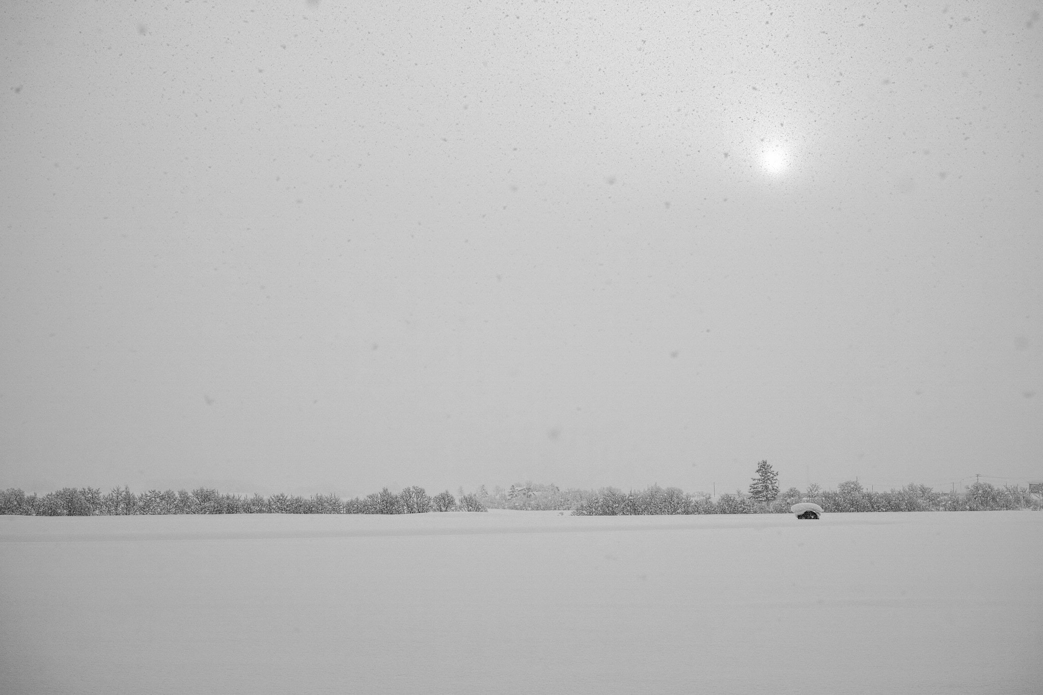 Sigma DP2 Merrill sample photo. Snow falls morning photography