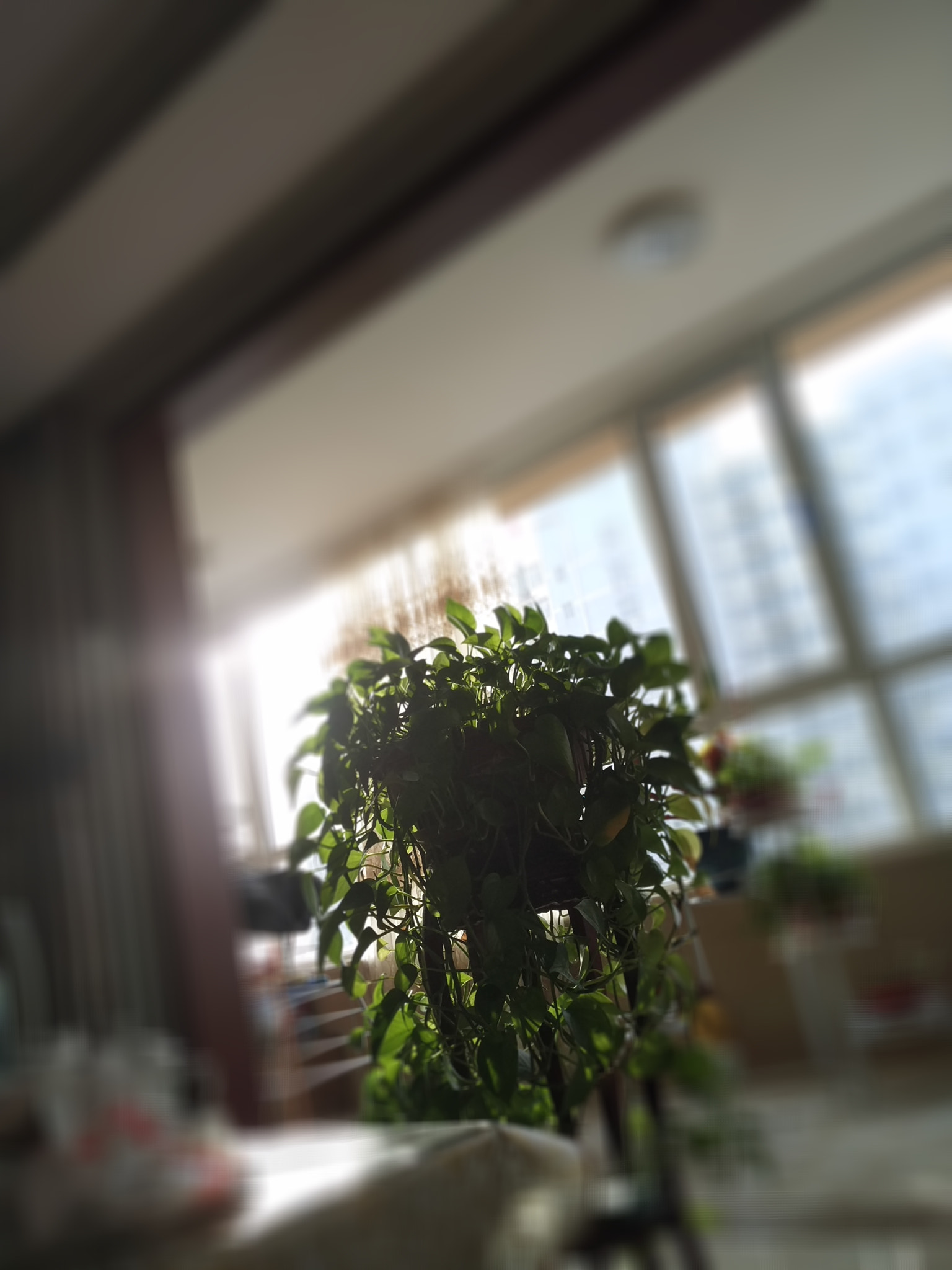 Xiaomi MI NOTE Pro sample photo. Sunny photography