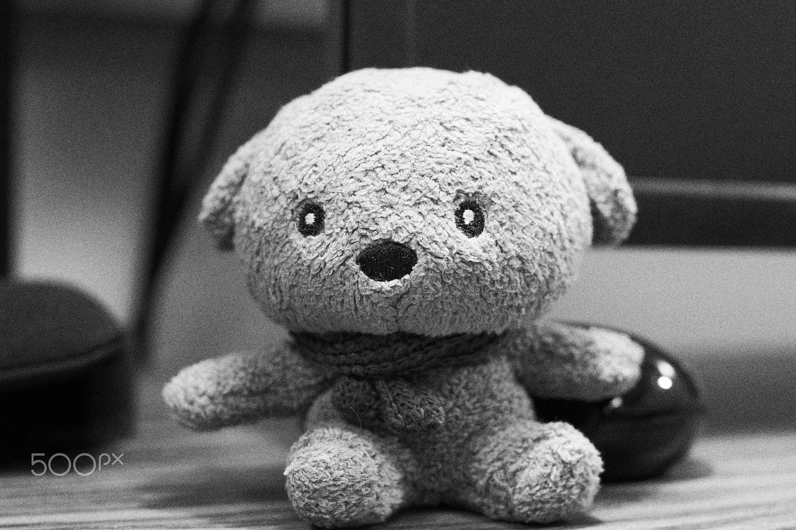 Sony 35mm F1.4 G sample photo. Feb 3 photography
