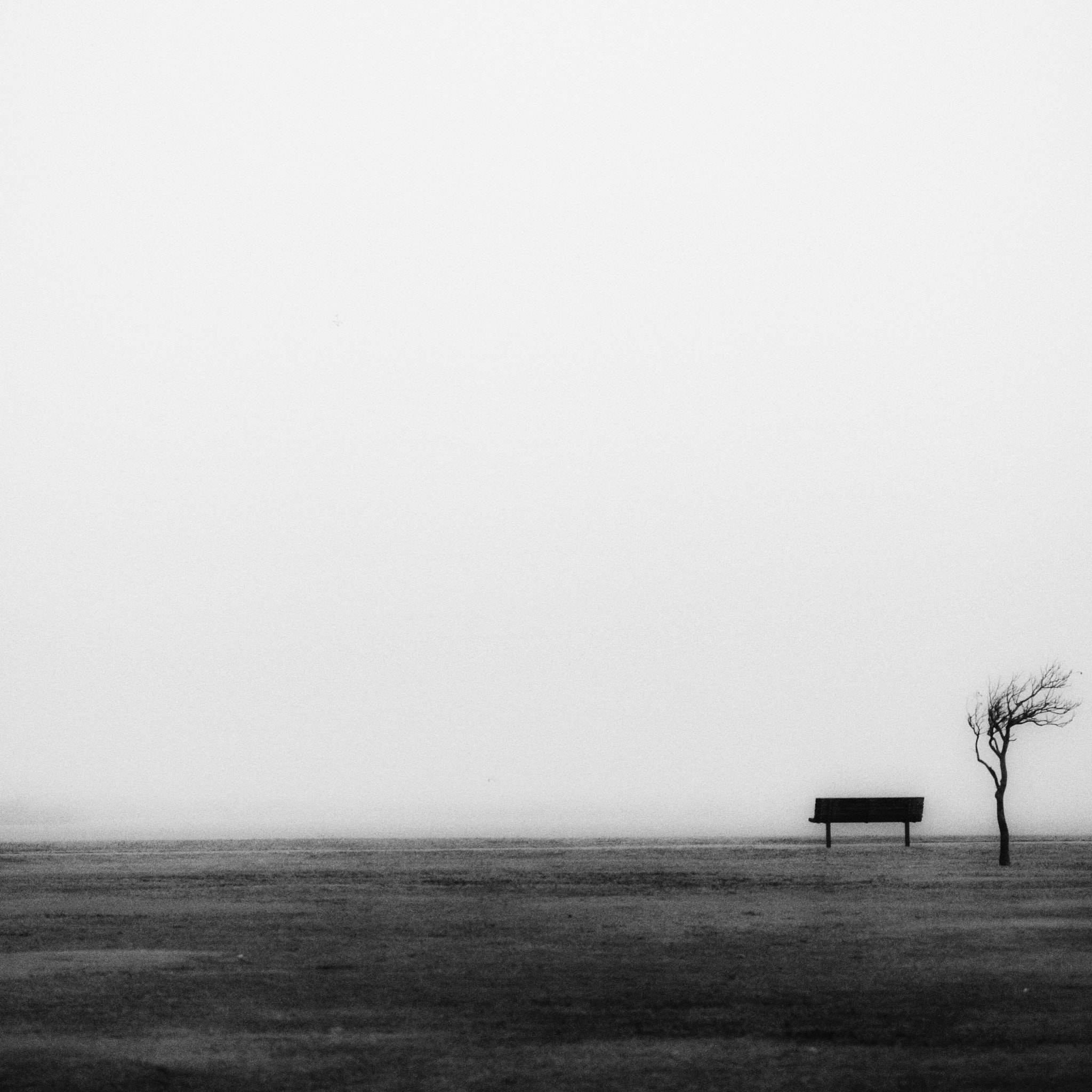 Canon EF-S 60mm F2.8 Macro USM sample photo. Little of nothing, lake hefner, okc. photography