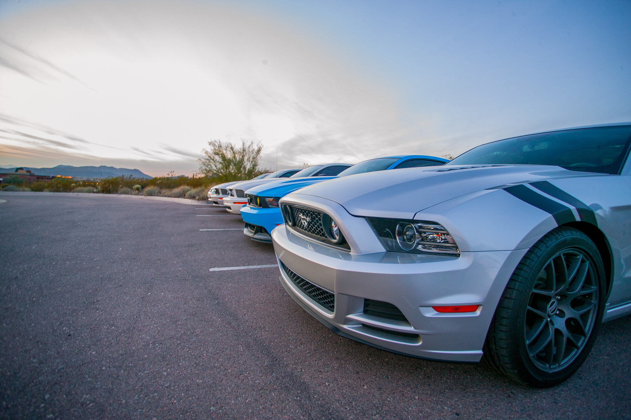 Canon EOS-1Ds + Canon EF 17-40mm F4L USM sample photo. Mustang photography