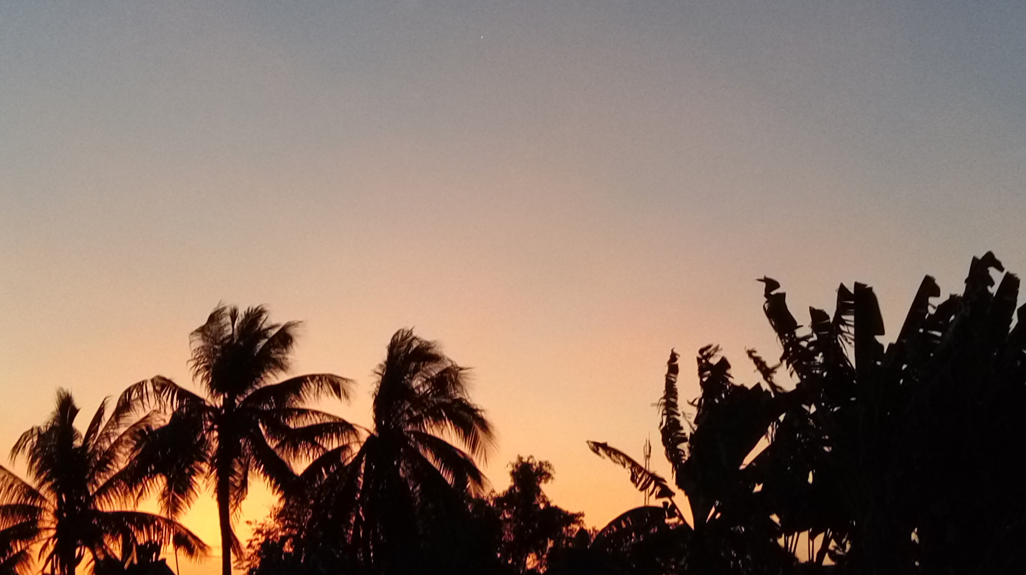HTC ONE E9 DUAL SIM sample photo. L'aube au vietnam photography