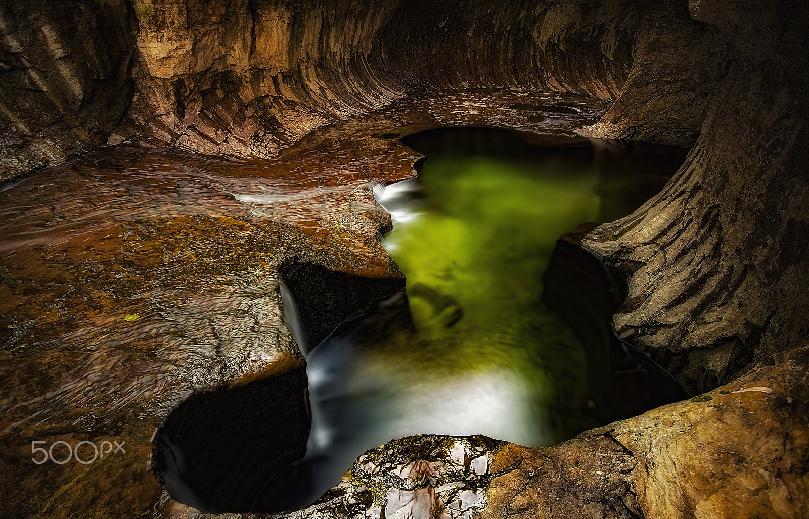 Sigma 10-20mm F4-5.6 EX DC HSM sample photo. The green monster photography