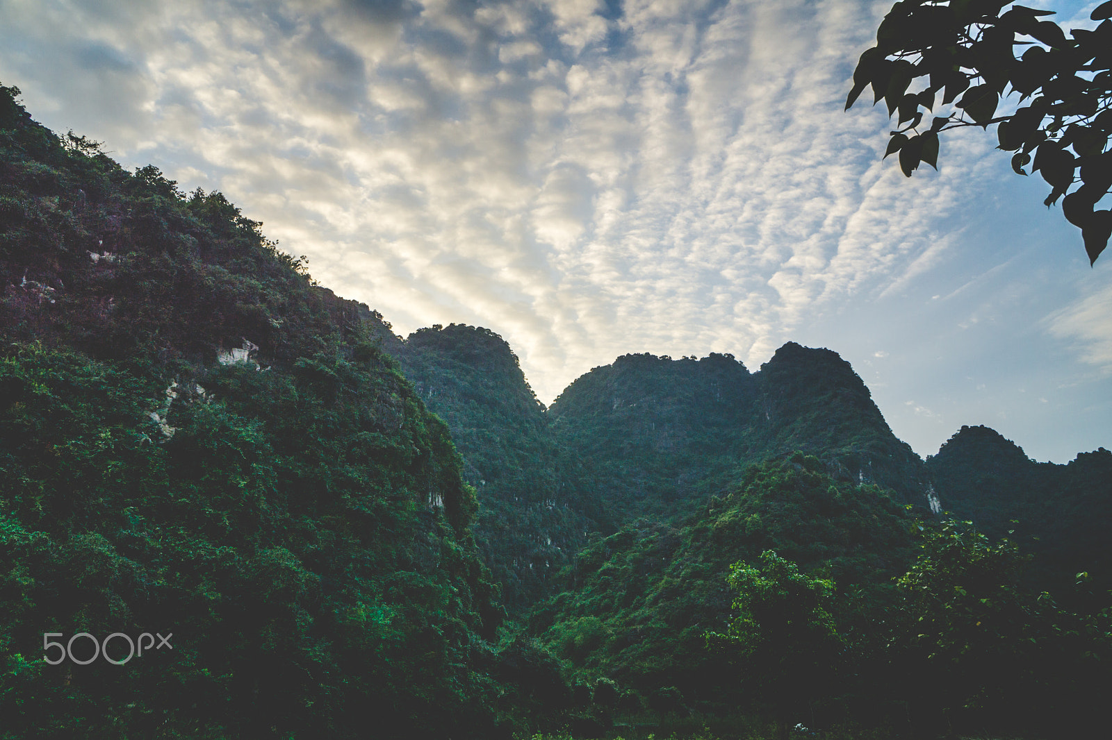 Sony a5100 + Sony E PZ 18-105mm F4 G OSS sample photo. Ninh binh, vietnam photography