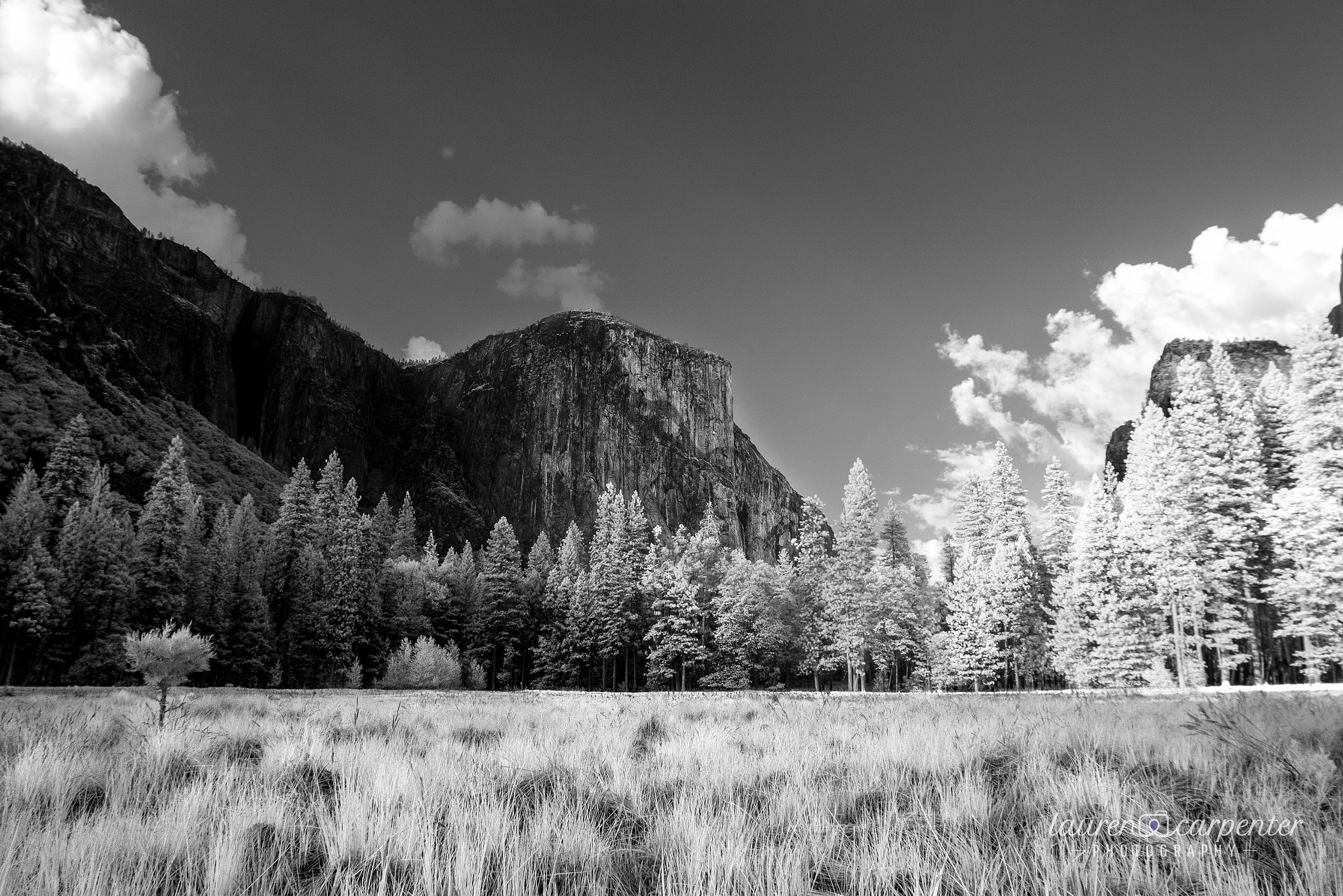 Canon EOS 450D (EOS Rebel XSi / EOS Kiss X2) + Canon EF 16-35mm F2.8L II USM sample photo. Yosemite photography