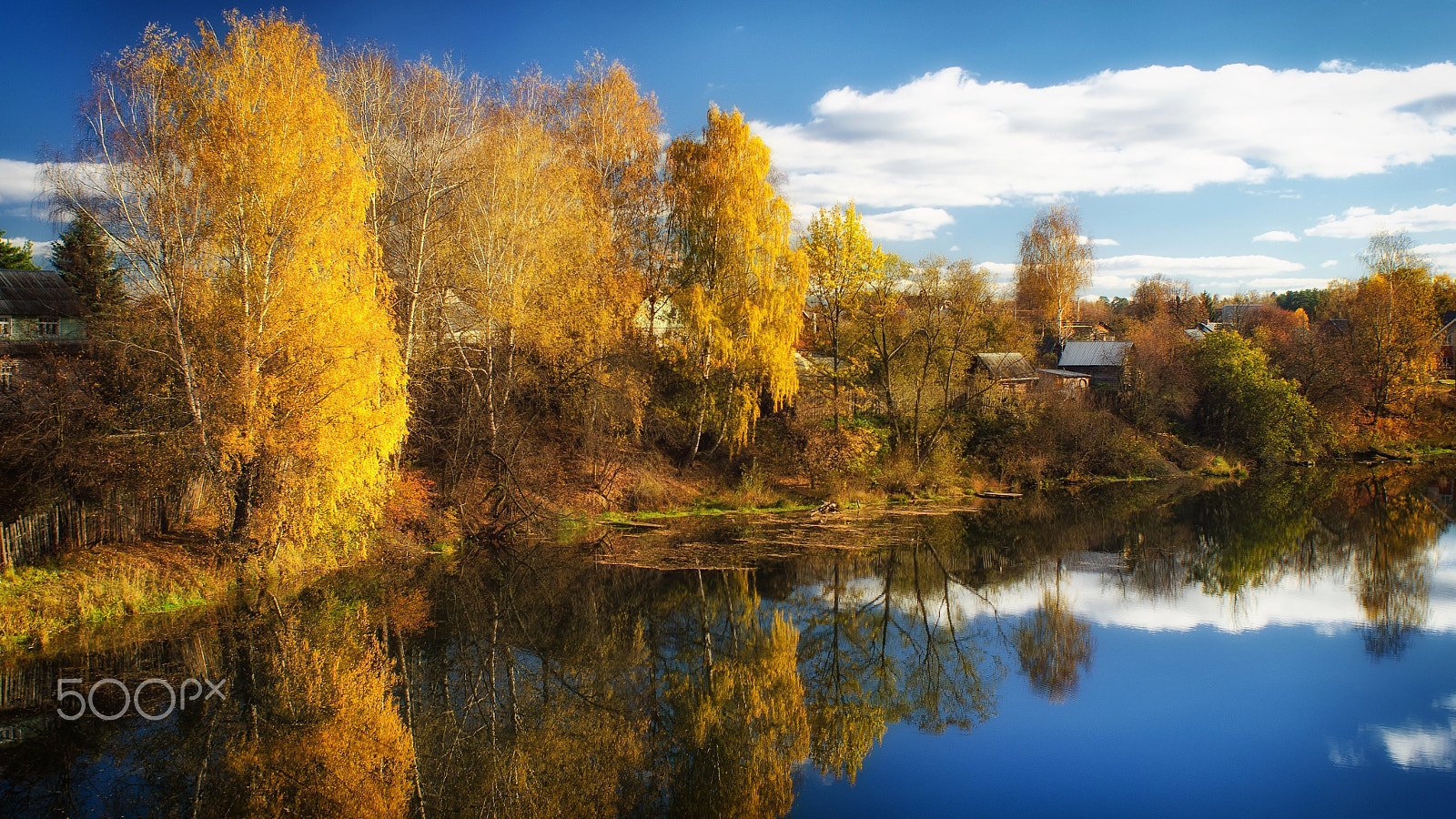 Nikon D7000 + AF Nikkor 28mm f/2.8 sample photo. Golden autumn in october photography