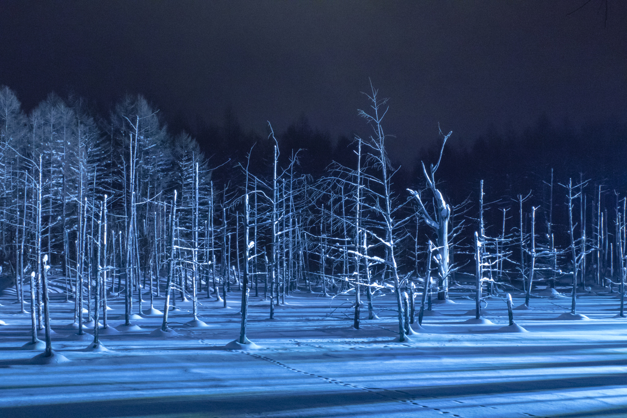 Canon EF 28mm F1.8 USM sample photo. Blue pond winter lighting photography