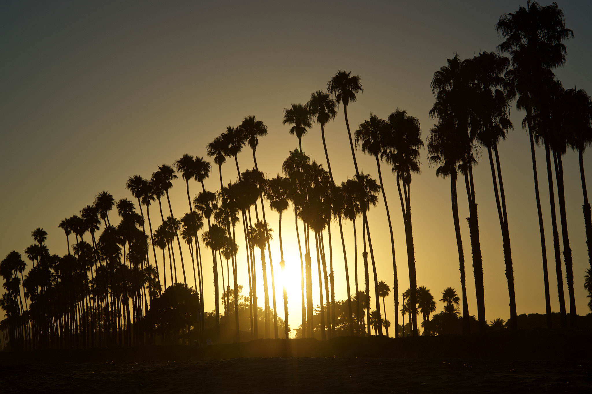 Sony a7 + Tamron 24-135mm F3.5-5.6 sample photo. Palm coast photography