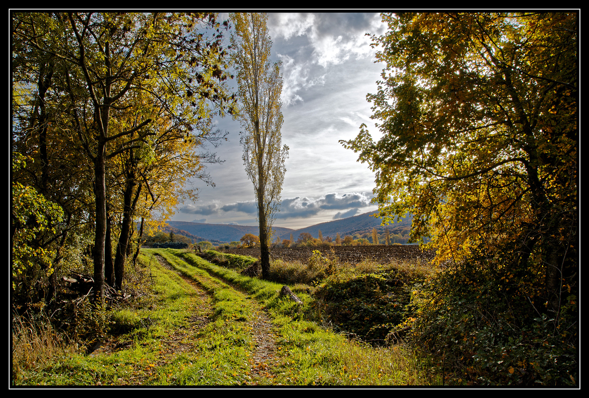 Pentax K-5 II sample photo. La clé des champs photography