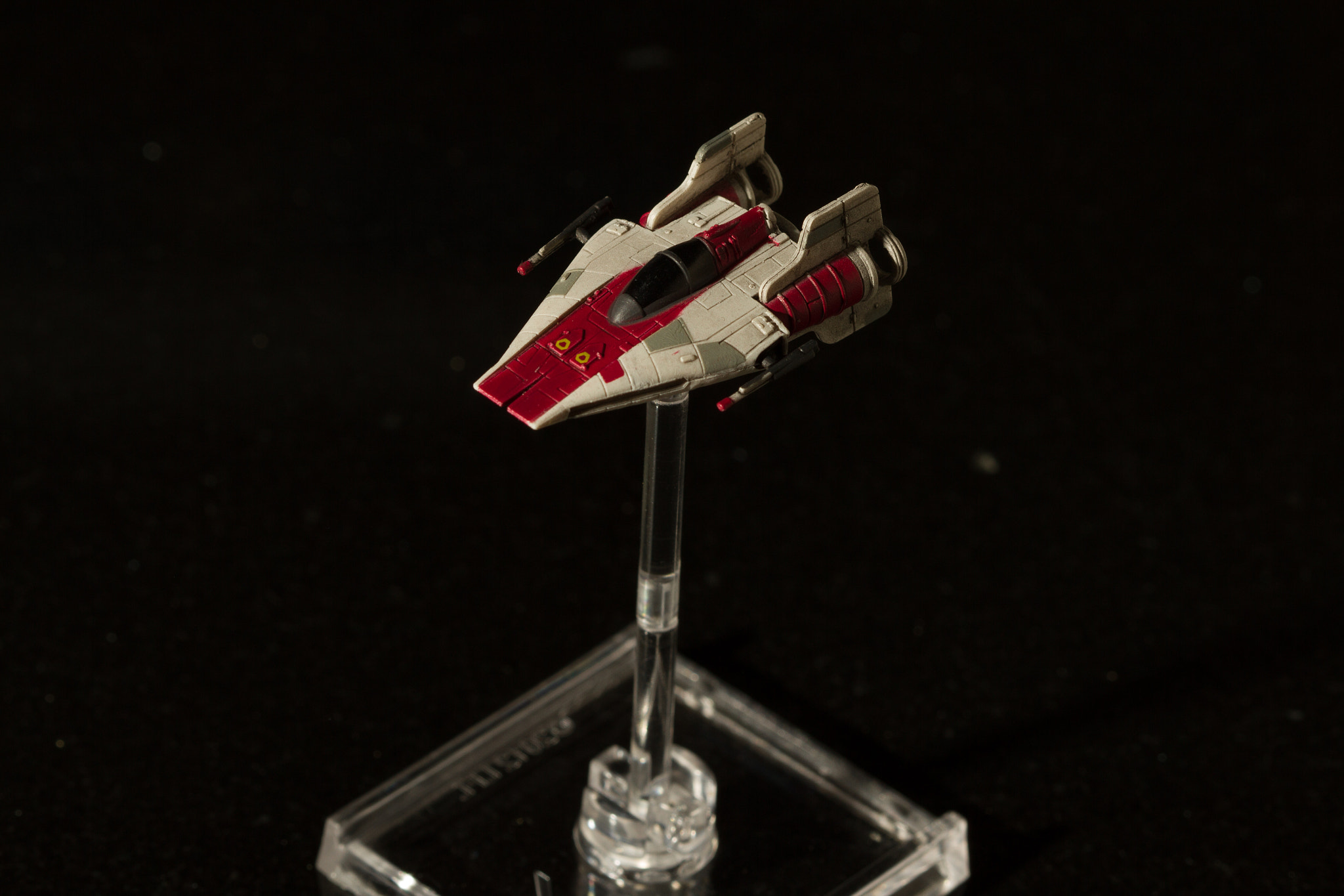 Canon EOS 7D + Canon EF 100mm F2.8 Macro USM sample photo. A-wing photography
