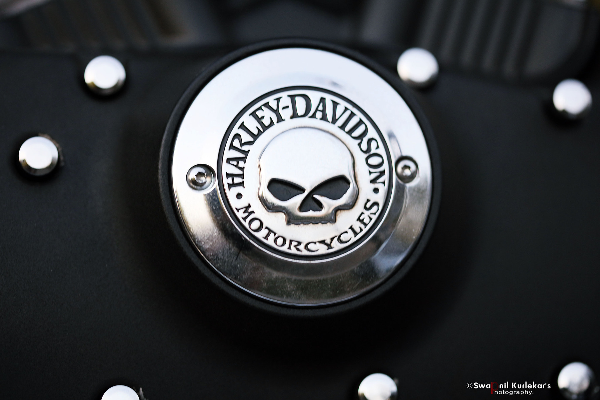 Canon EOS 5DS R + Canon EF 100mm F2.8 Macro USM sample photo. 3a0a5942.jpg photography