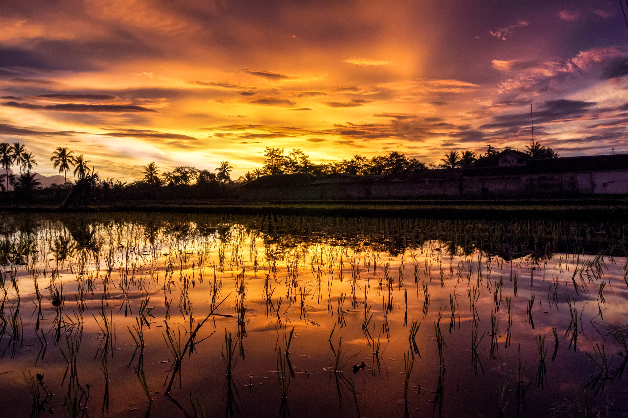 Sony Alpha DSLR-A560 + Sony DT 18-55mm F3.5-5.6 SAM sample photo. Refleksi senja (2) photography