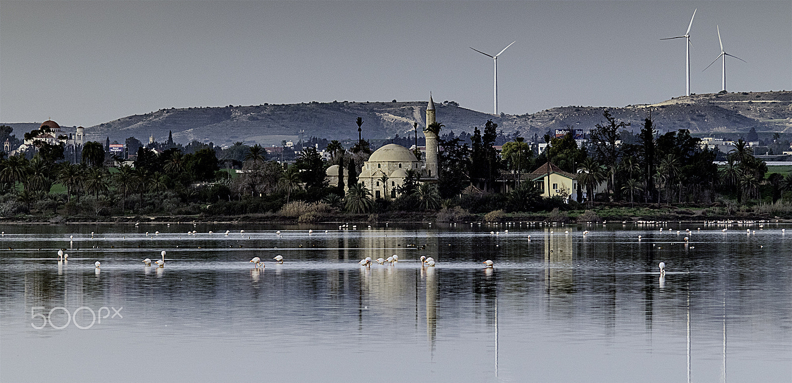Sigma 150-500mm F5-6.3 DG OS HSM sample photo. Cyprus - salt lake photography
