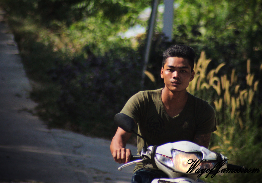 Sigma 70-300mm F4-5.6 APO DG Macro sample photo. Payam scooter thai photography