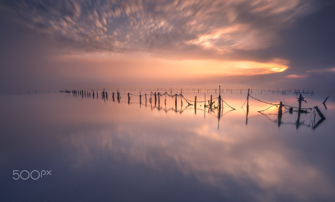 Sony a7R + ZEISS Touit 12mm F2.8 sample photo. Catalunya sunset in delta del ebre photography