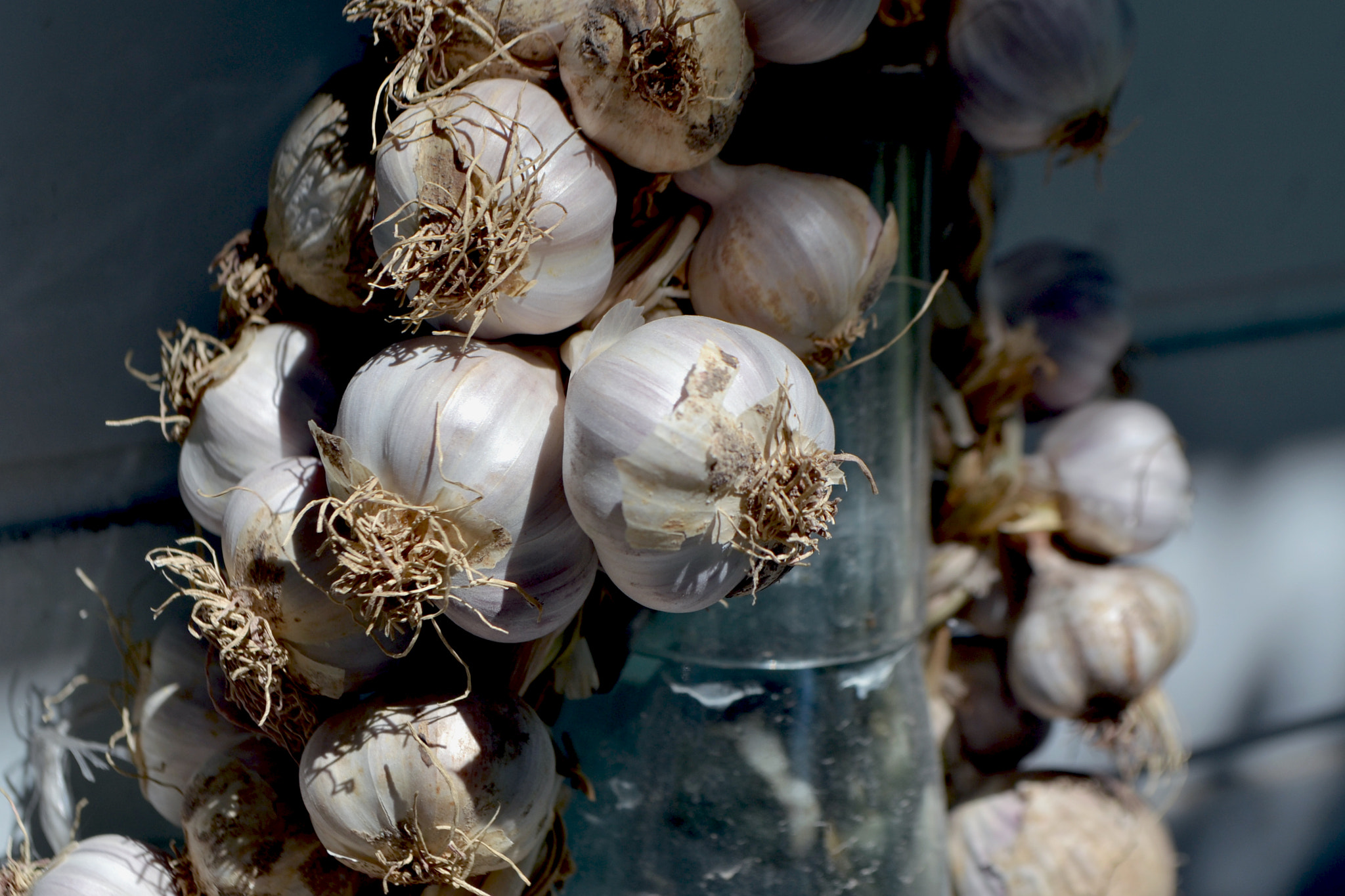 Sigma 50-150mm F2.8 EX APO DC HSM II sample photo. Garlic photography