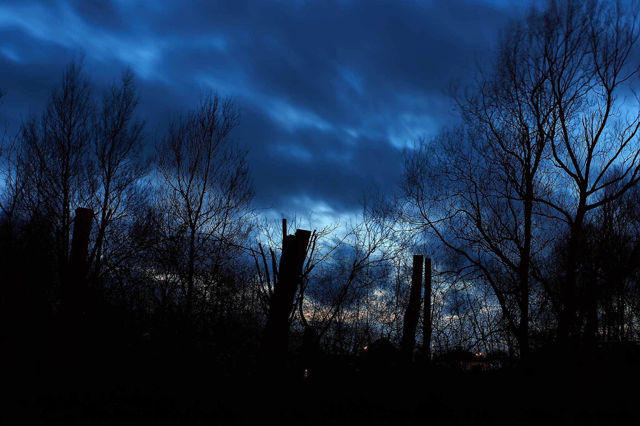 Sony SLT-A77 + Sony DT 35mm F1.8 SAM sample photo. Dddo photography