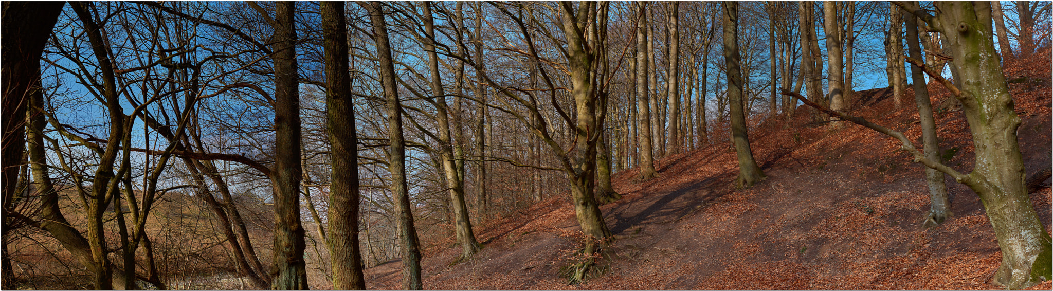 Sony SLT-A77 + Sony DT 50mm F1.8 SAM sample photo. Ebb o photography