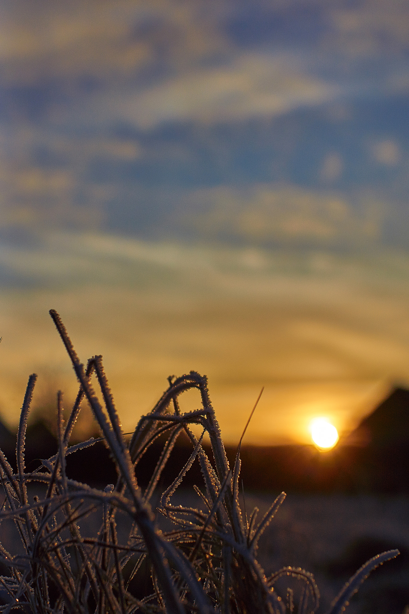 Sony SLT-A77 + Sony DT 35mm F1.8 SAM sample photo. Bbo photography