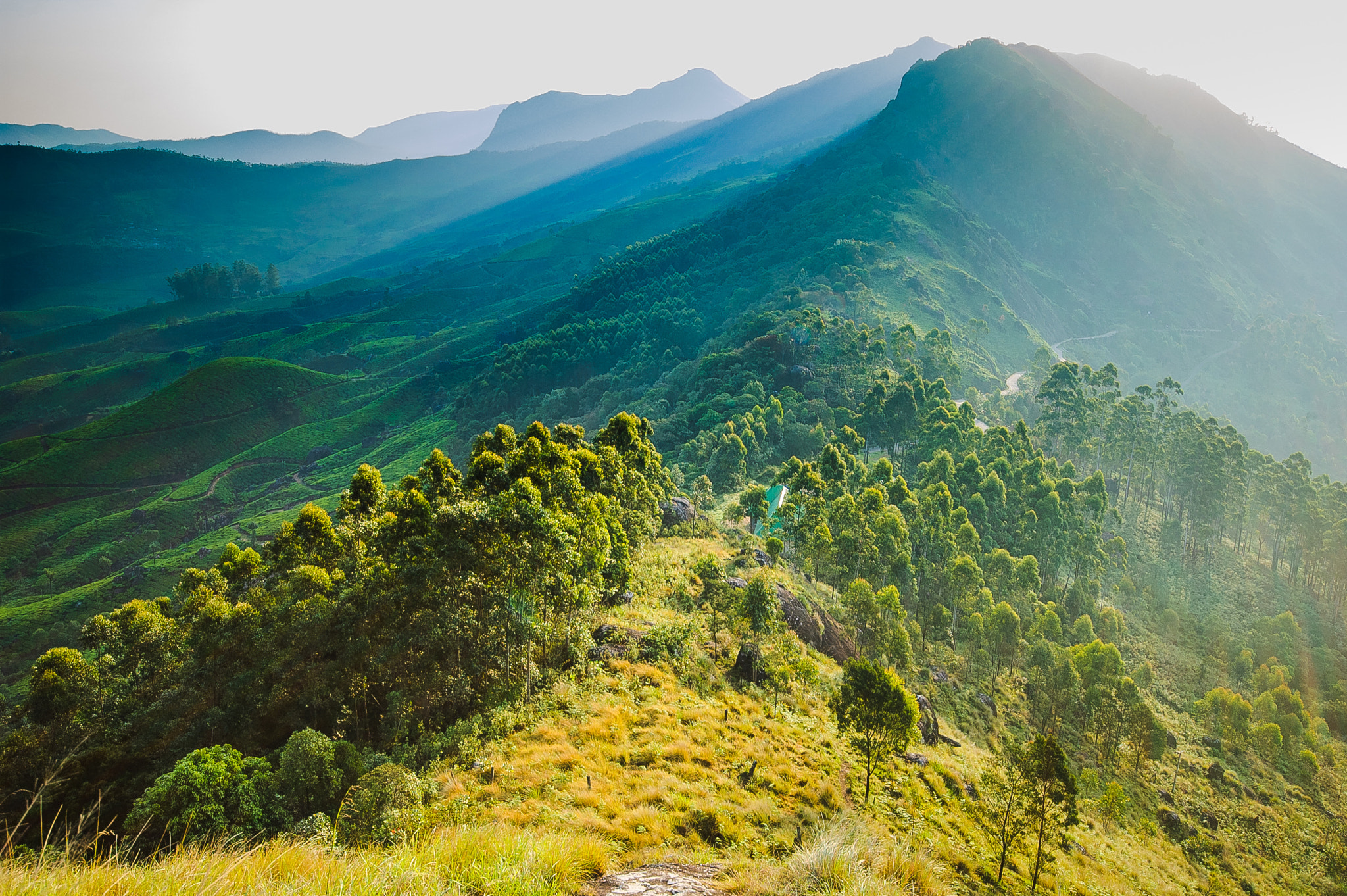 Nikon D70 sample photo. Munnar sunrise photography