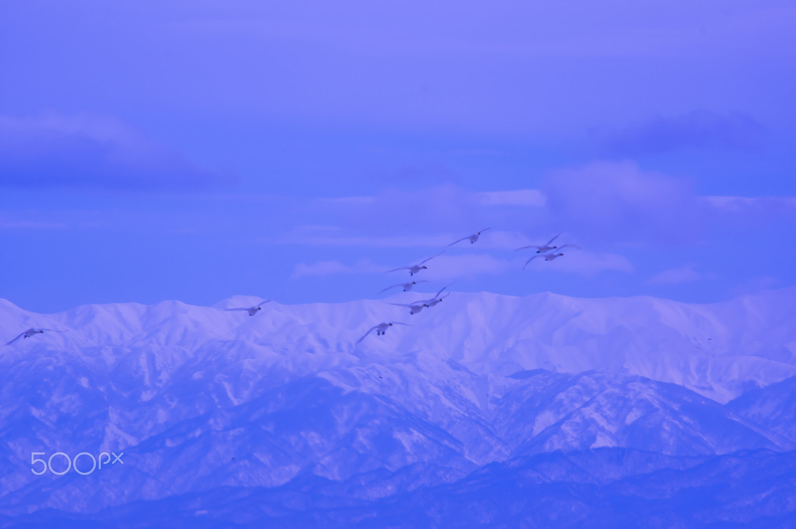 smc PENTAX-DA L 55-300mm F4-5.8 ED sample photo. "日本の冬 " winter in japan photography