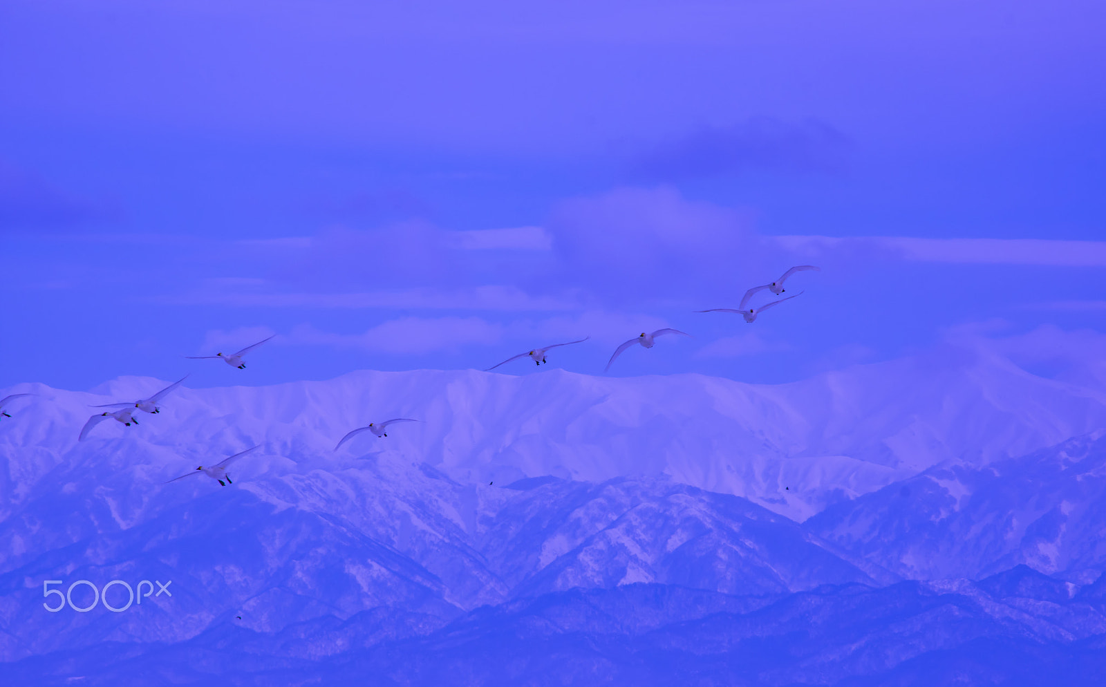 smc PENTAX-DA L 55-300mm F4-5.8 ED sample photo. "日本の冬 " winter in japan photography