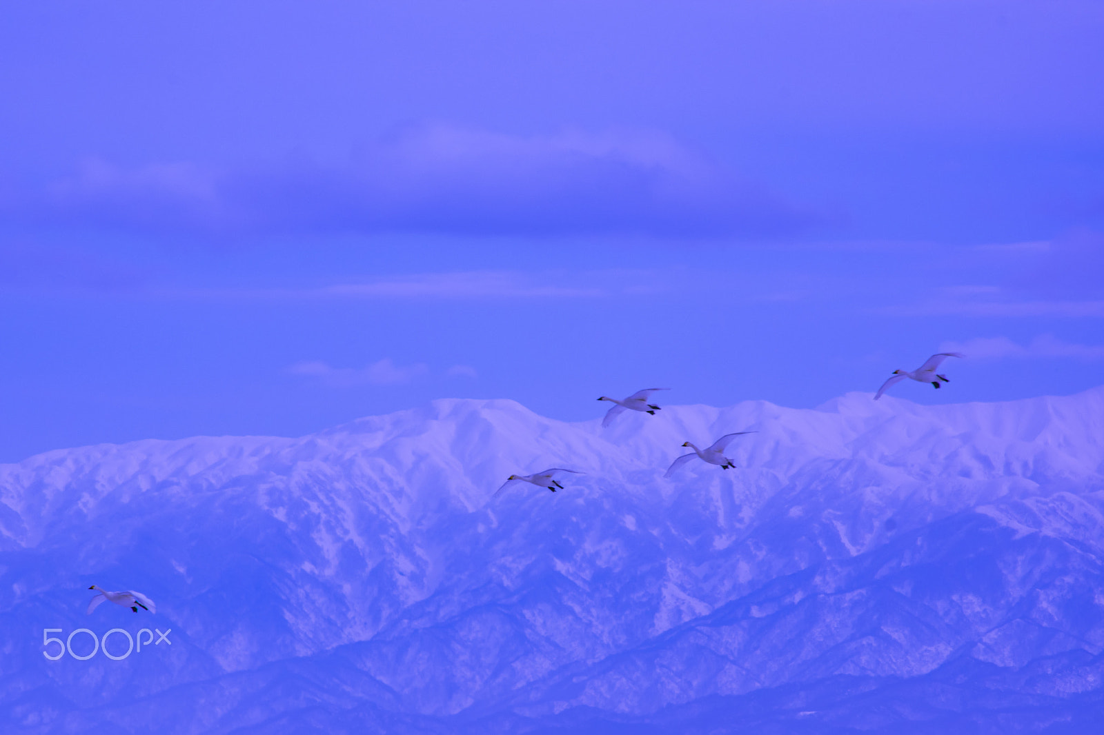 smc PENTAX-DA L 55-300mm F4-5.8 ED sample photo. "日本の冬 " winter in japan photography