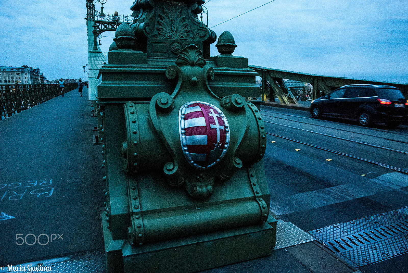 Nikon D60 sample photo. Liberty bridge photography