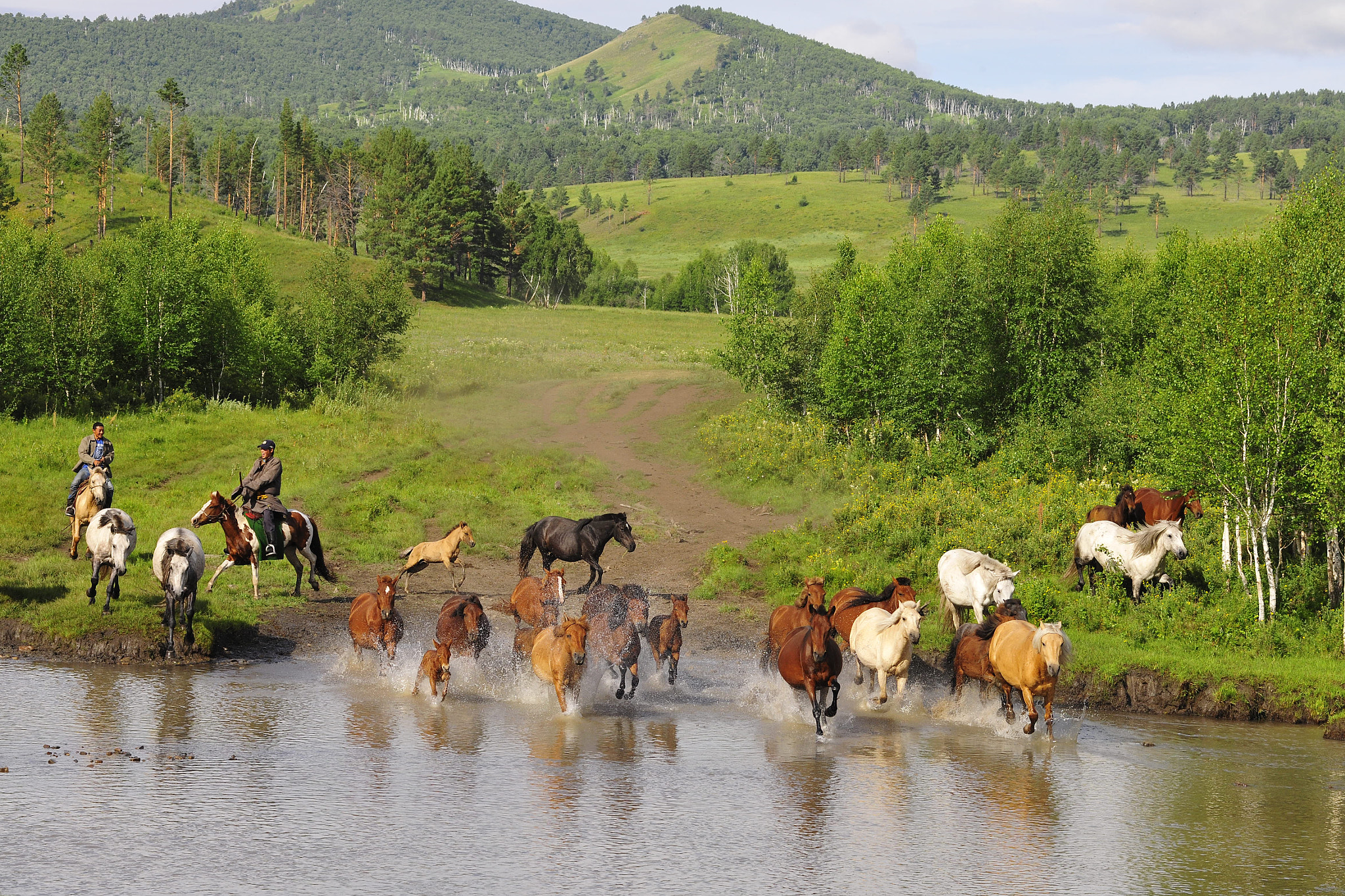 Nikon D3X sample photo. Mongolia grassland graze photography