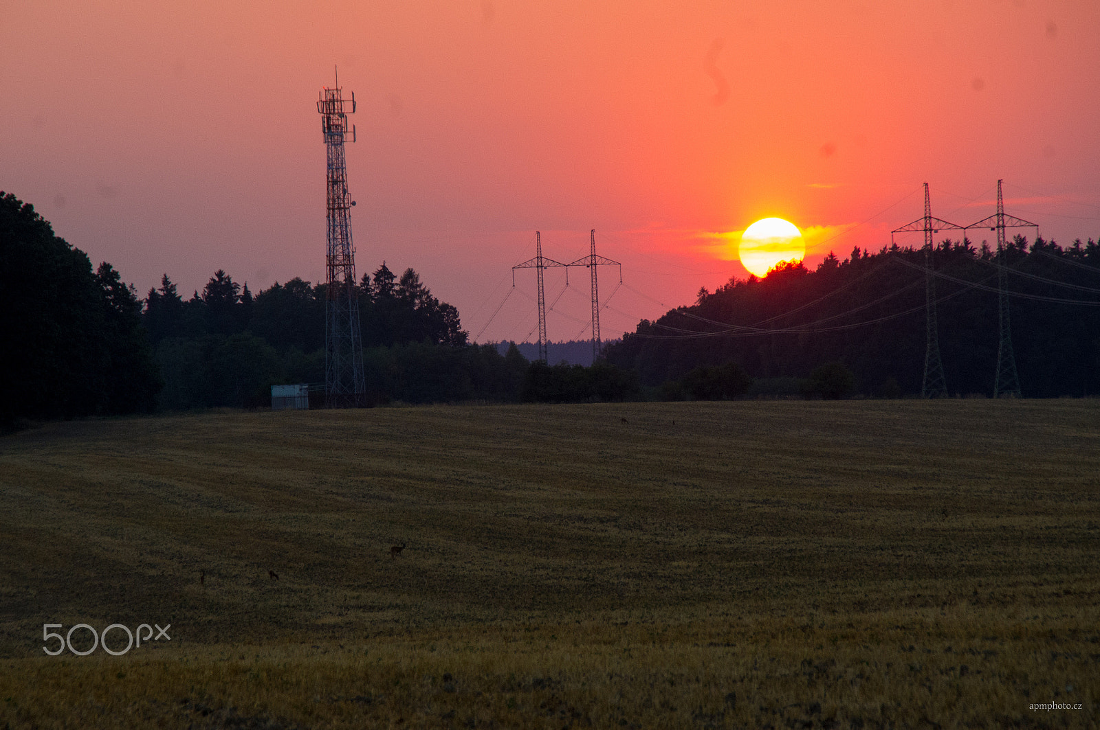 Tamron AF 18-200mm F3.5-6.3 XR Di II LD Aspherical (IF) Macro sample photo. Electric sunset photography
