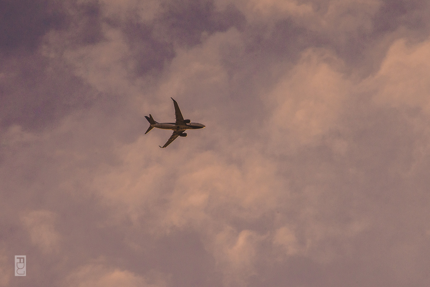 Nikon D600 sample photo. Come fly with me!!! photography