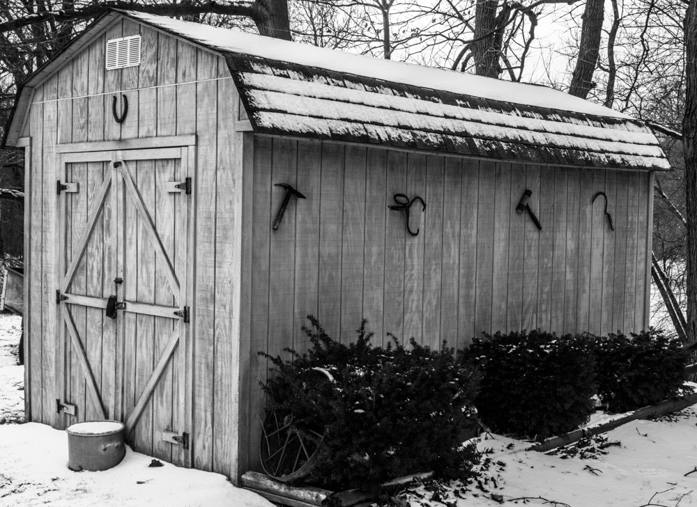 PENTAX-F 28-80mm F3.5-4.5 sample photo. Not a murder shed photography
