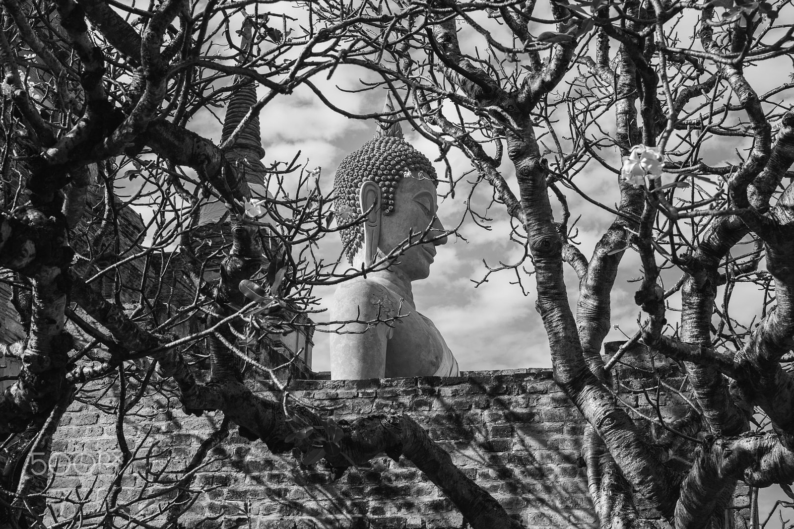Canon EF 24-70mm F2.8L II USM sample photo. Ayutthaya  thailand photography