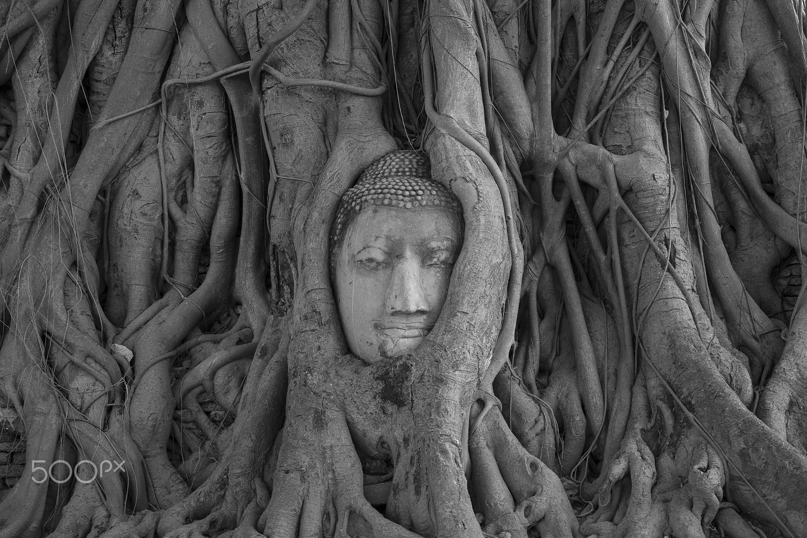 Canon EF 24-70mm F2.8L II USM sample photo. Ayutthaya  thailand photography