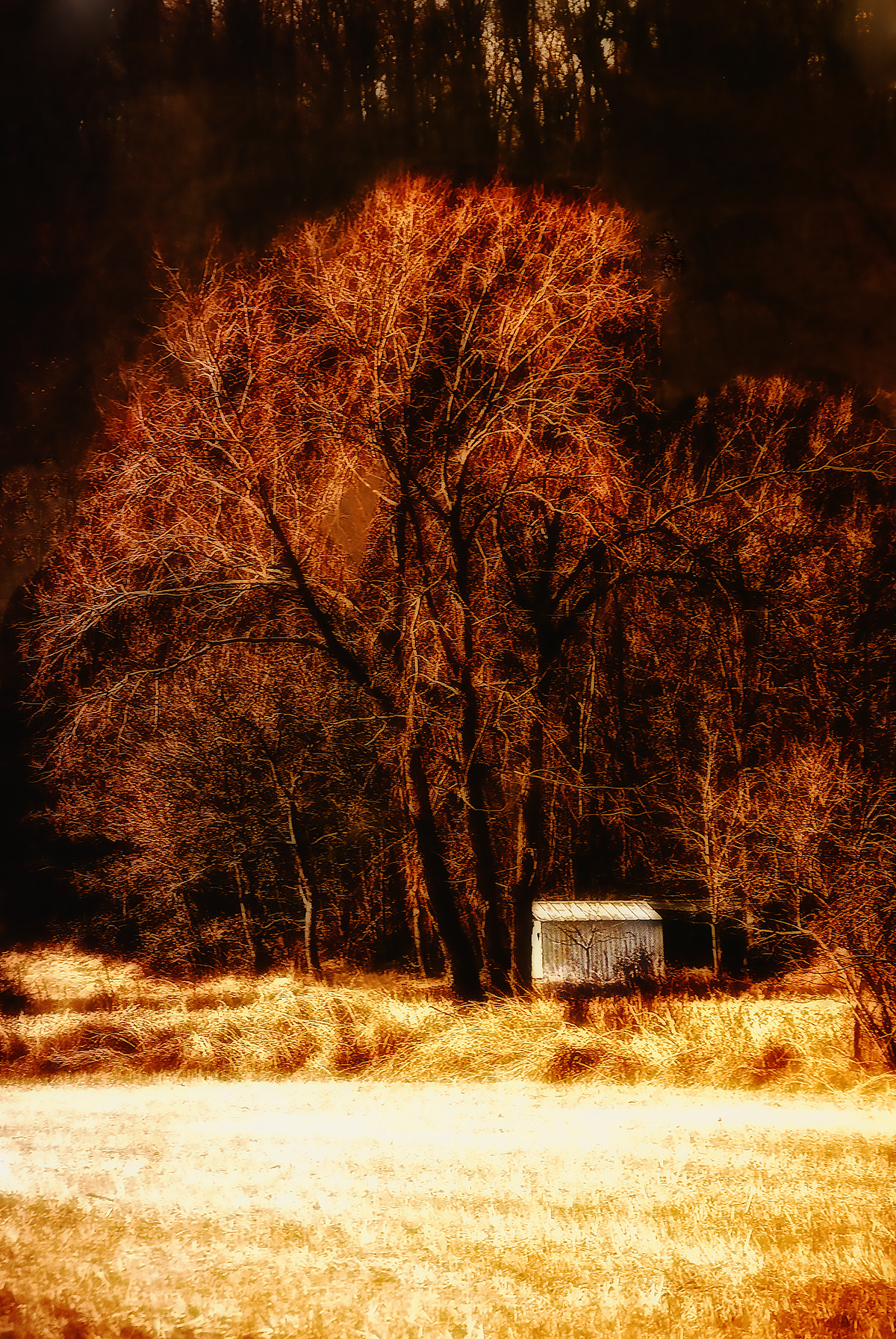 Nikon D200 + Sigma 18-200mm F3.5-6.3 DC sample photo. Tool shed photography