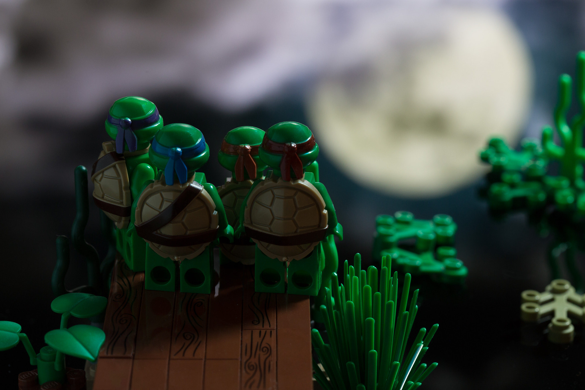 Canon EOS 6D + Canon EF 100mm F2.8 Macro USM sample photo. Teenage mutant ninjaturtles photography