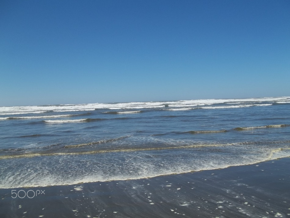 Kodak EASYSHARE C183 DIGITAL CAMERA sample photo. Beach photography