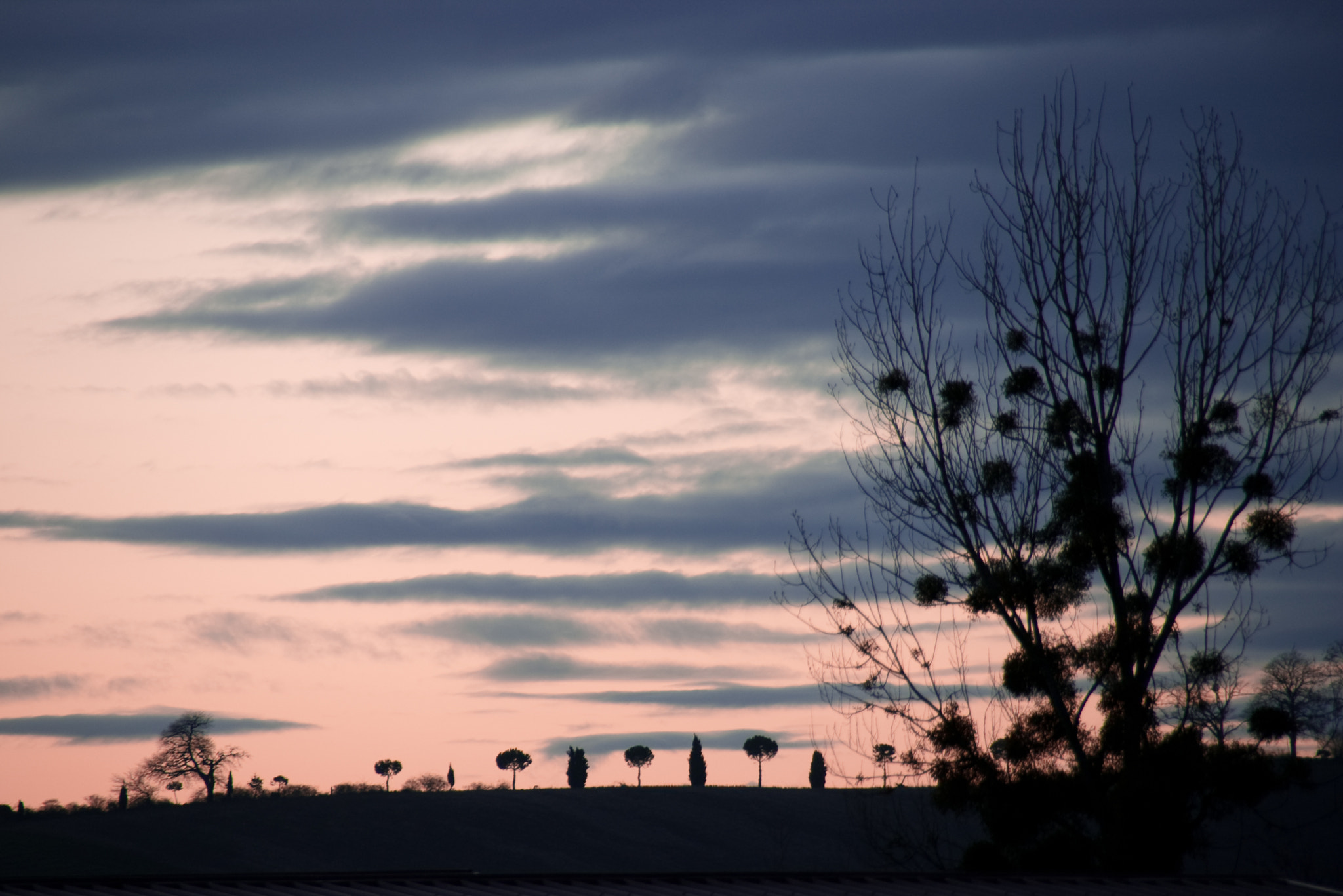 Pentax K100D Super sample photo. Infaco - f3010 photography