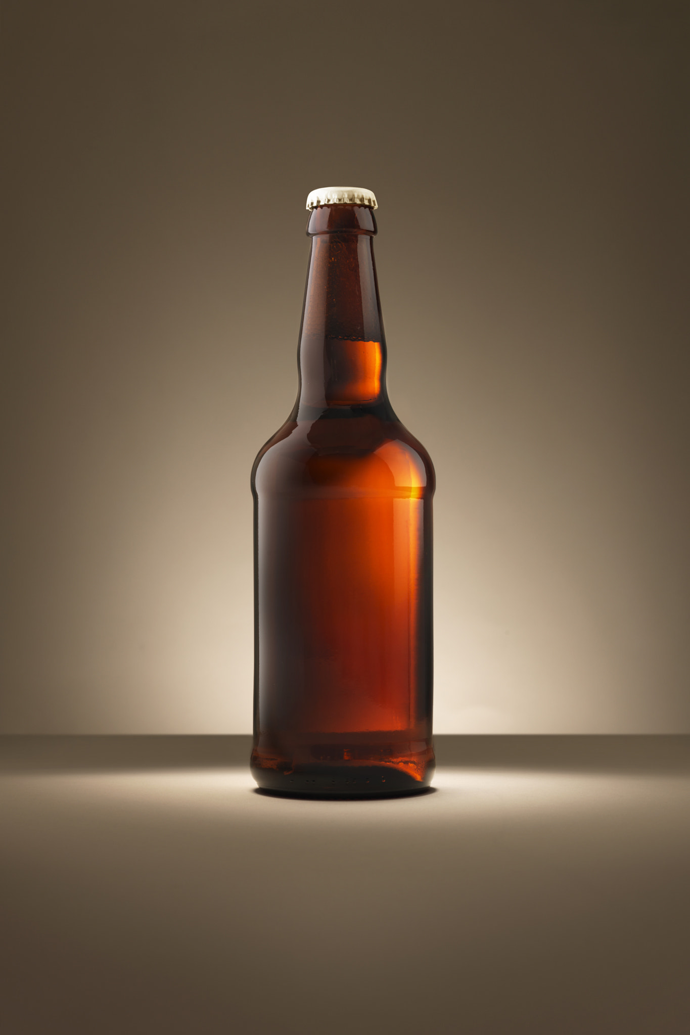 Hasselblad H3DII-31 sample photo. Beer ale bottle blank photography