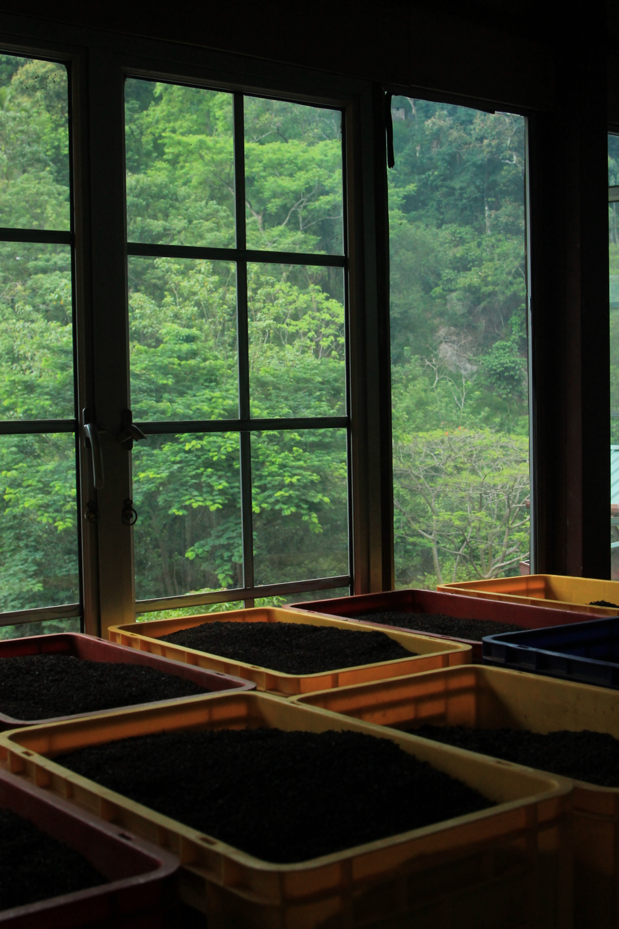 Canon EF 24-85mm F3.5-4.5 USM sample photo. Tea factory photography