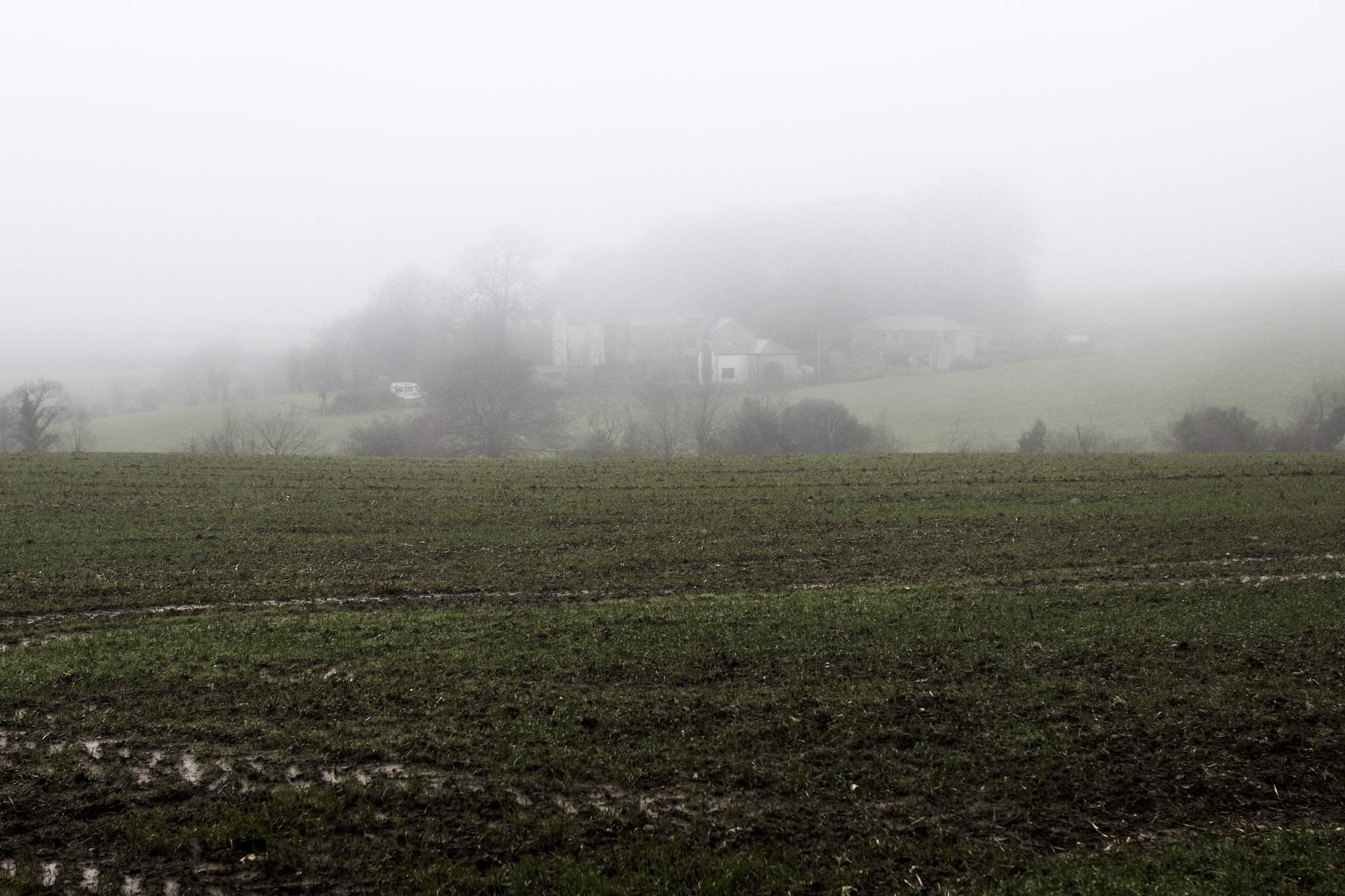 Canon EOS 600D (Rebel EOS T3i / EOS Kiss X5) sample photo. The world we live in photography