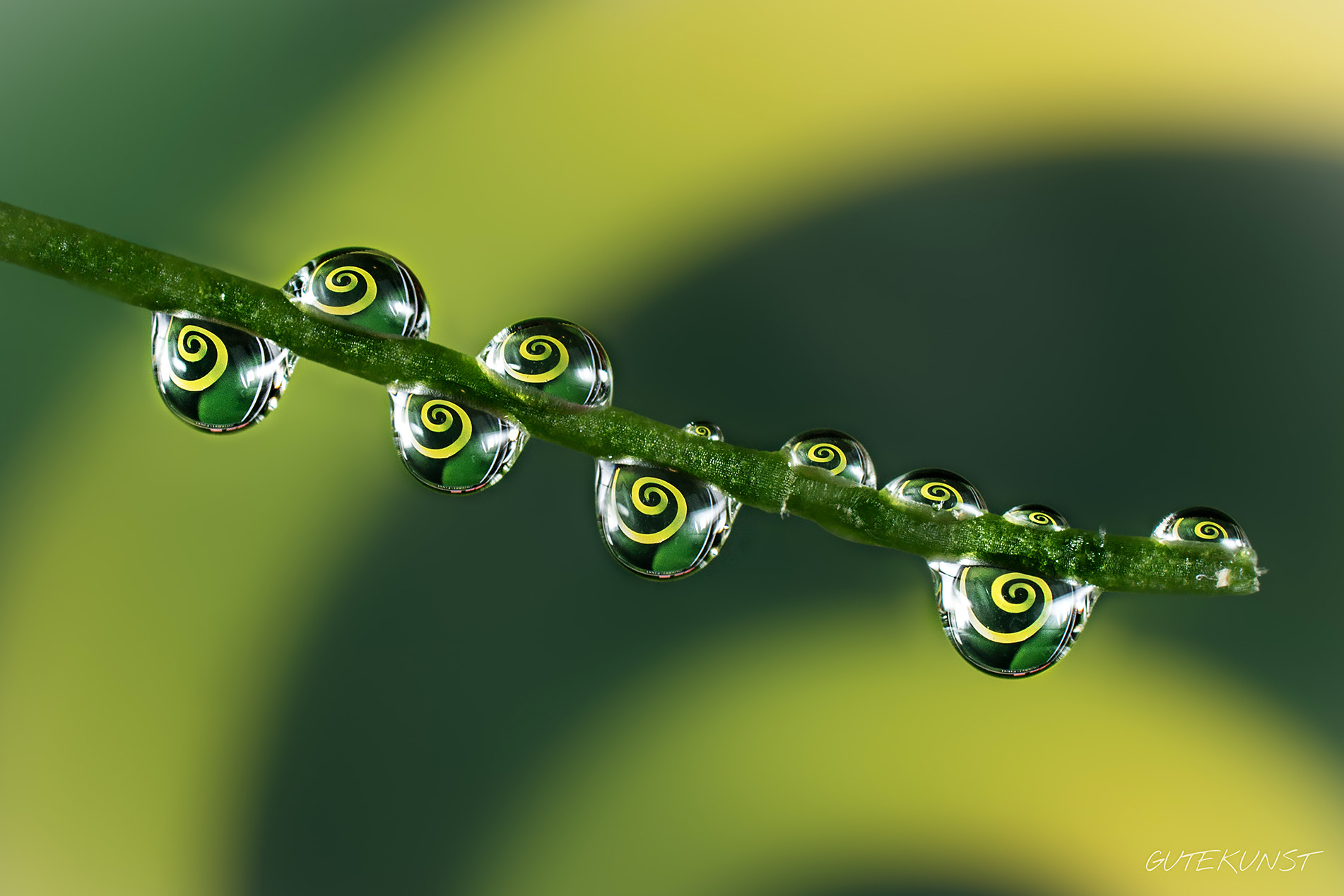 Sony ILCA-77M2 + Tamron SP AF 90mm F2.8 Di Macro sample photo. Waterdrops n°4 photography