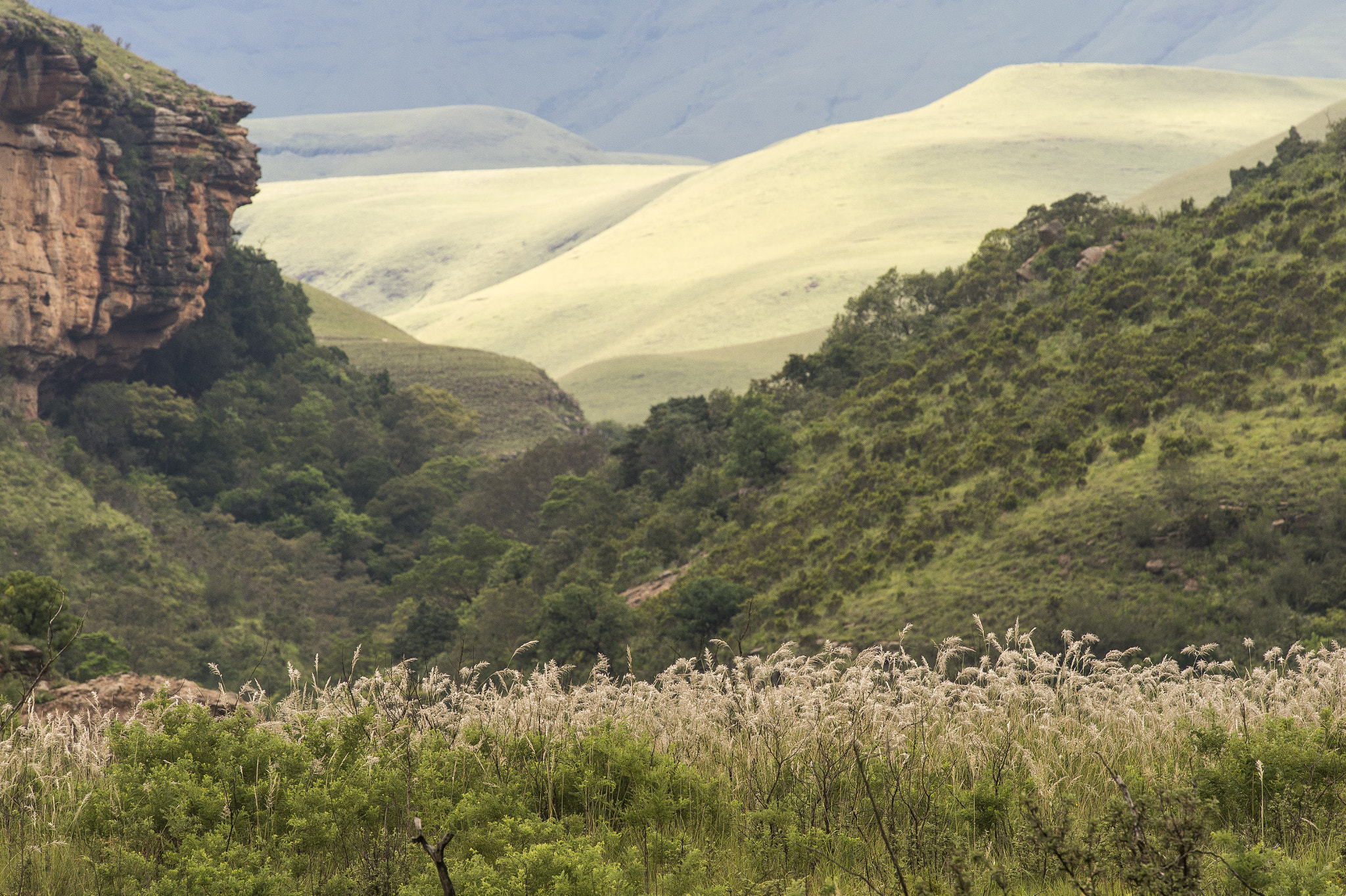 Nikon Nikkor AF-S 300mm F4E PF ED VR sample photo. Giant's castle, drakensberg photography