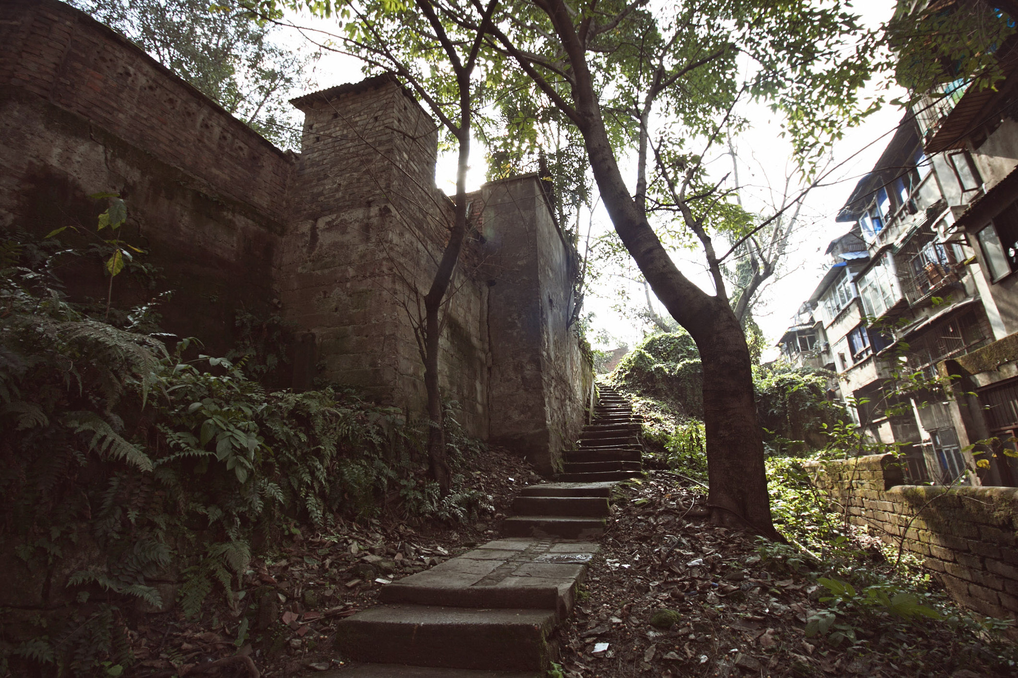 Canon EF-S 10-18mm F4.5–5.6 IS STM sample photo. Exposure photography
