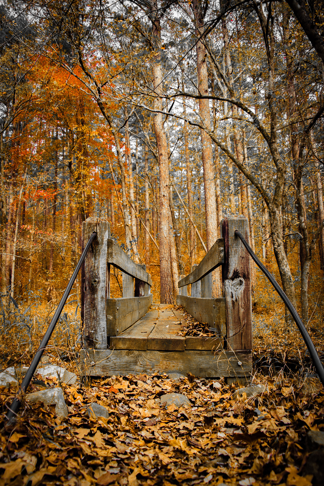 Samsung Galaxy NX sample photo. Lonely bridge photography