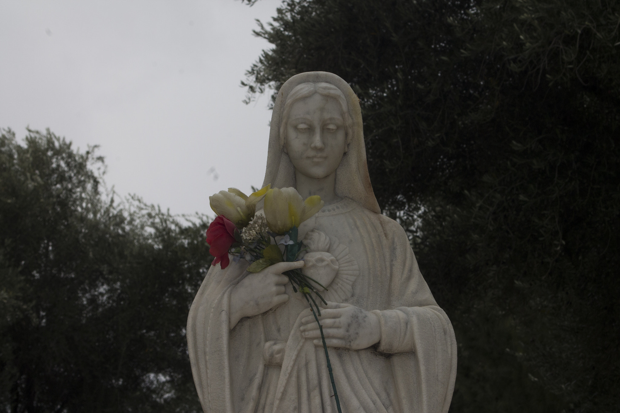 Canon EF 35-80mm f/4-5.6 sample photo. Marry clear at photography